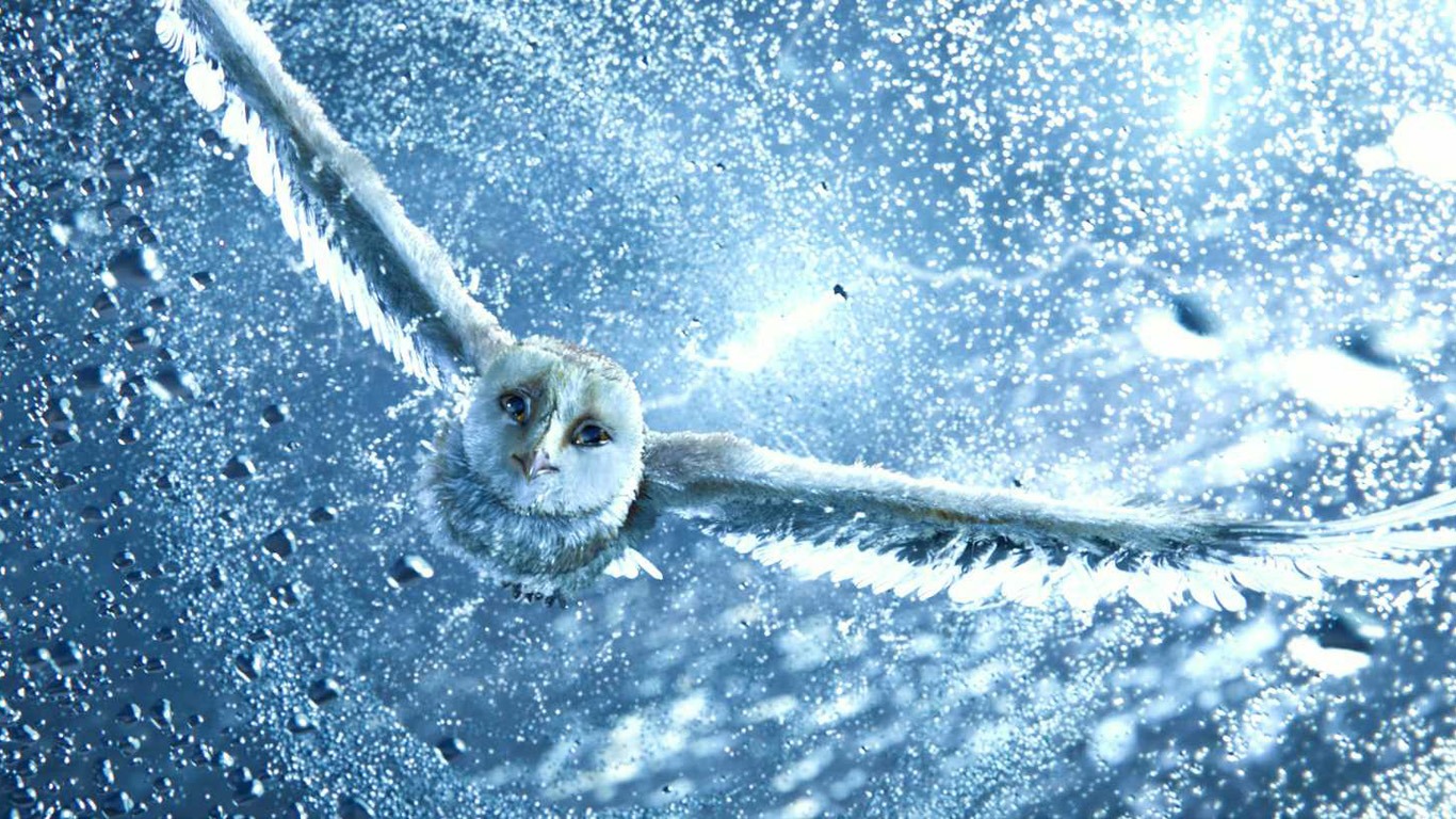 Legend of the Guardians: The Owls of Ga'Hoole 守卫者传奇(二)8 - 1366x768