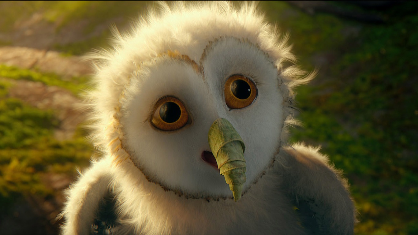 Legend of the Guardians: The Owls of Ga'Hoole 守卫者传奇(二)25 - 1366x768