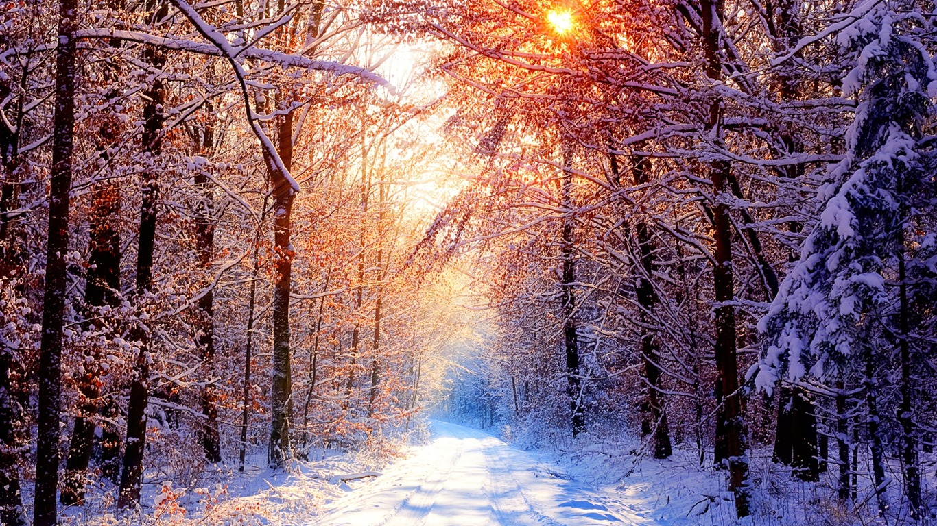 Scenery Collection Wallpapers (45) #8 - 1366x768