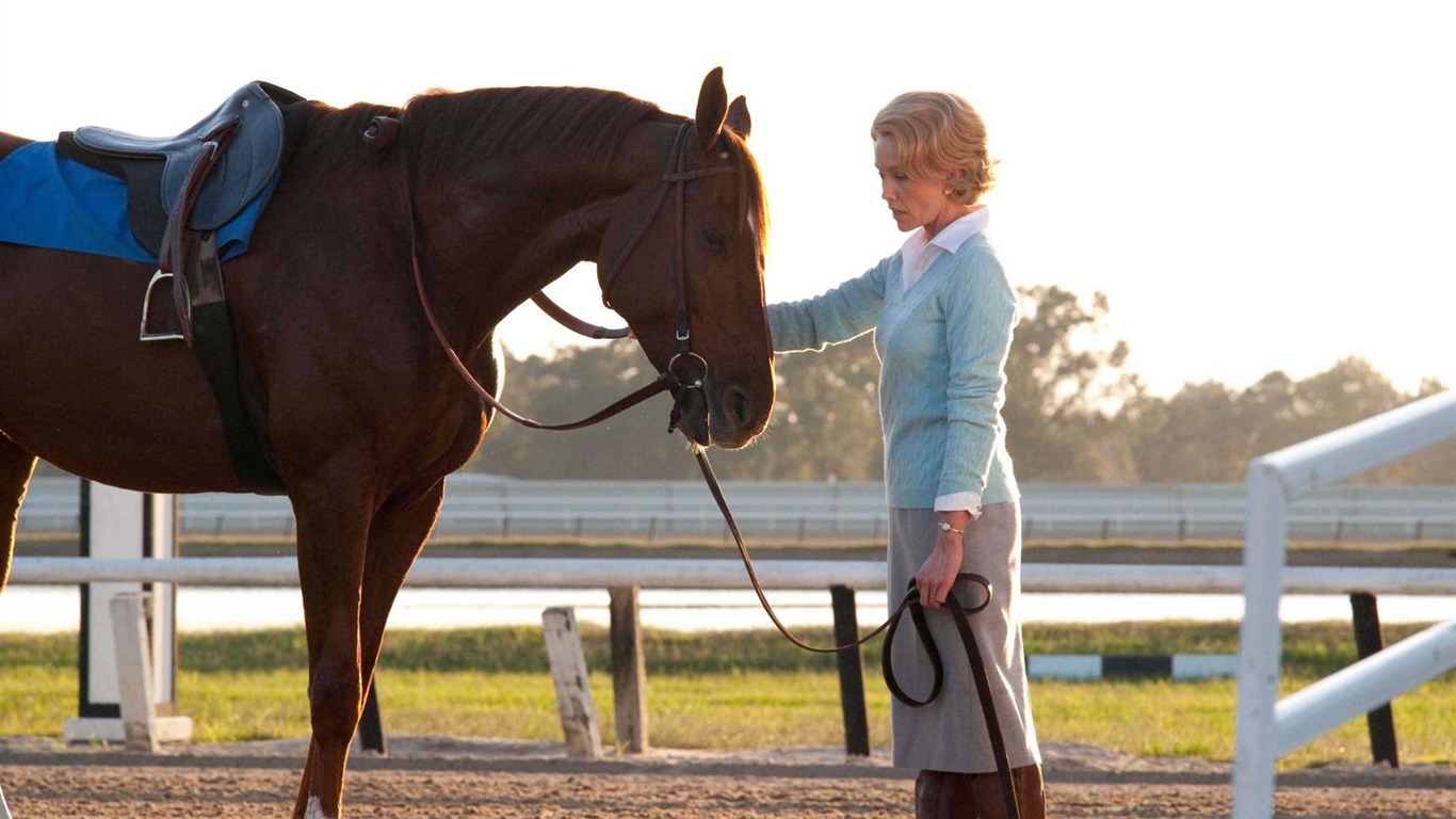 Secretariat 一代骄马 高清壁纸(一)13 - 1366x768