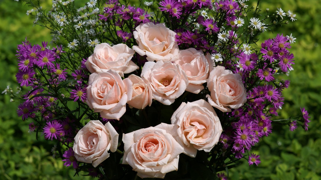 Rose Foto tapety (9) #6 - 1366x768
