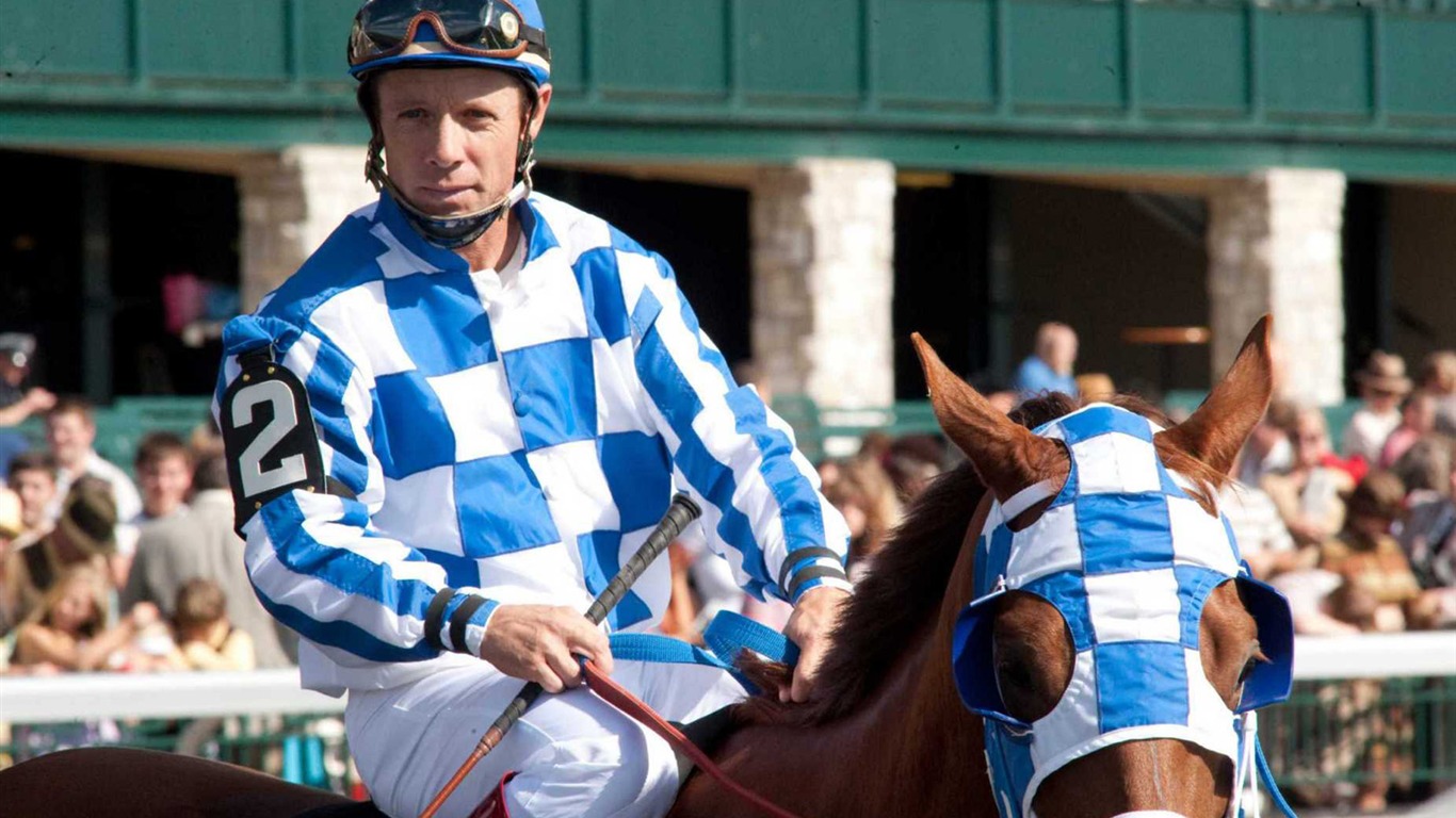 Secretariat 一代驕馬 高清壁紙(二) #5 - 1366x768