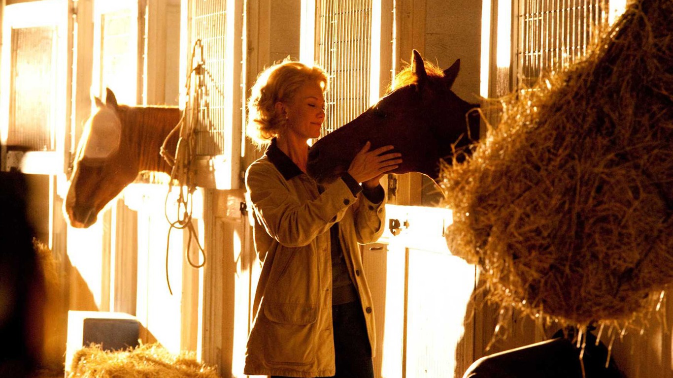 Secretariat 一代驕馬 高清壁紙(二) #23 - 1366x768