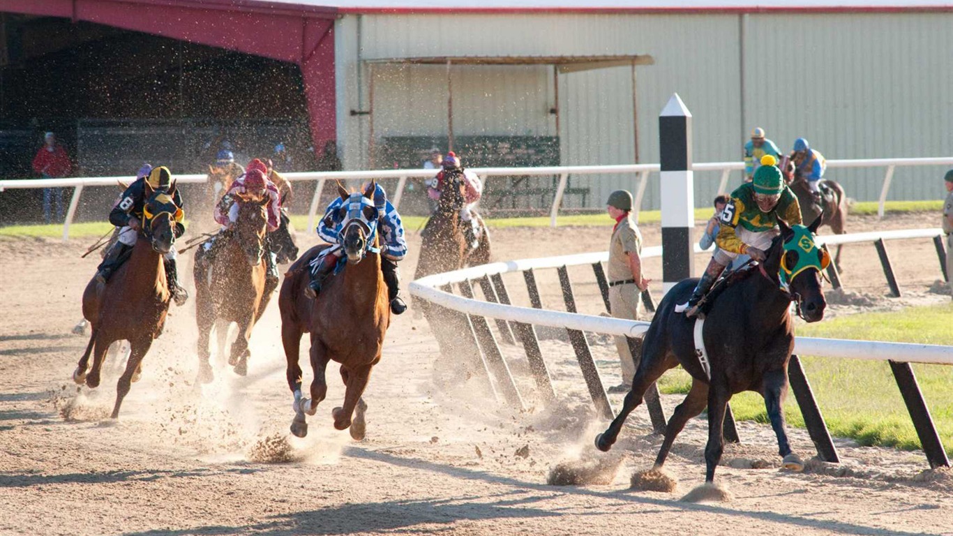 Secretariat 一代驕馬 高清壁紙(二) #25 - 1366x768