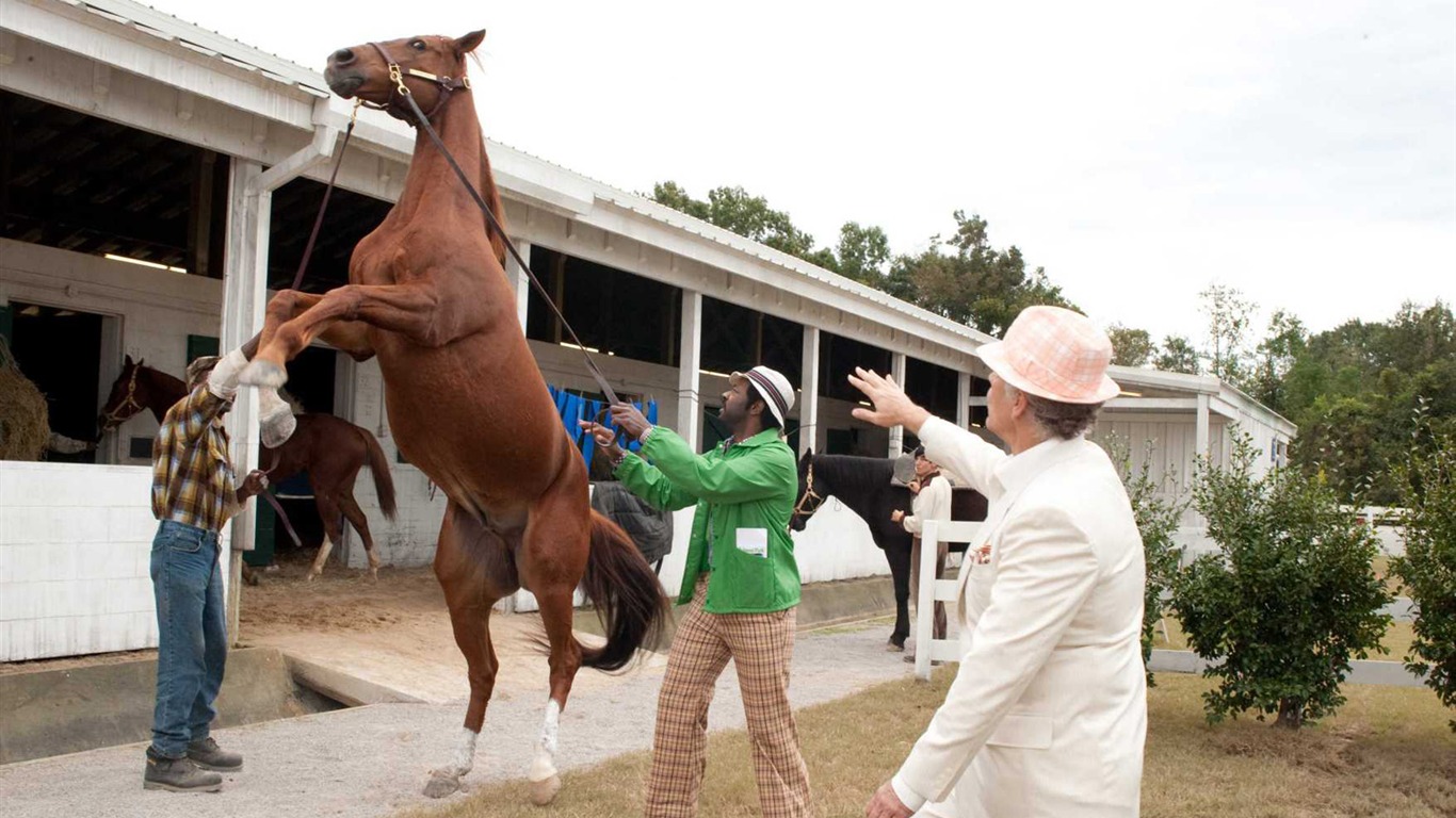 Secretariat 一代驕馬 高清壁紙(二) #27 - 1366x768