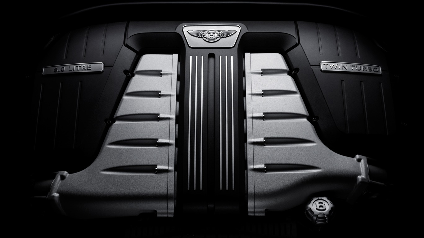Bentley Continental GT - 2010 宾利33 - 1366x768