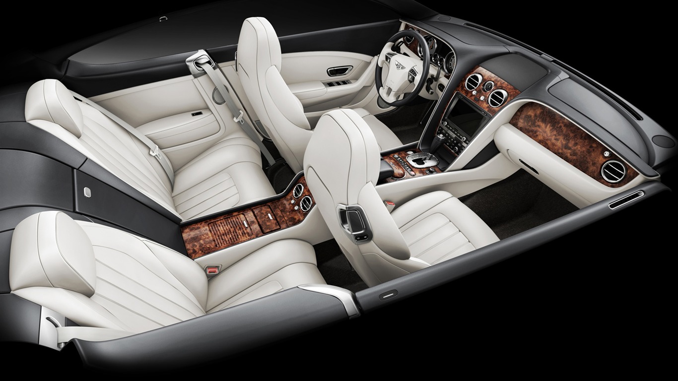 Bentley Continental GT - 2010 宾利38 - 1366x768