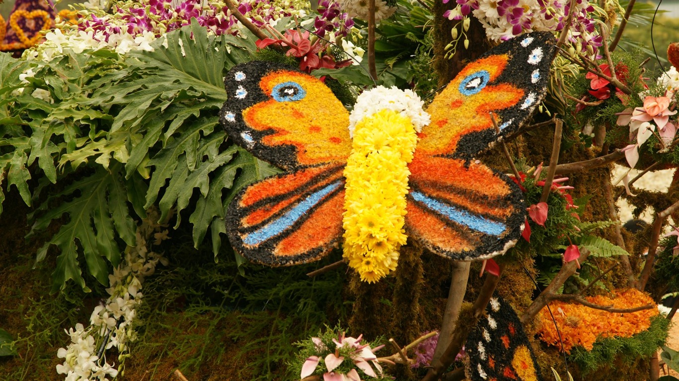 七彩花朵装饰 壁纸(一)2 - 1366x768