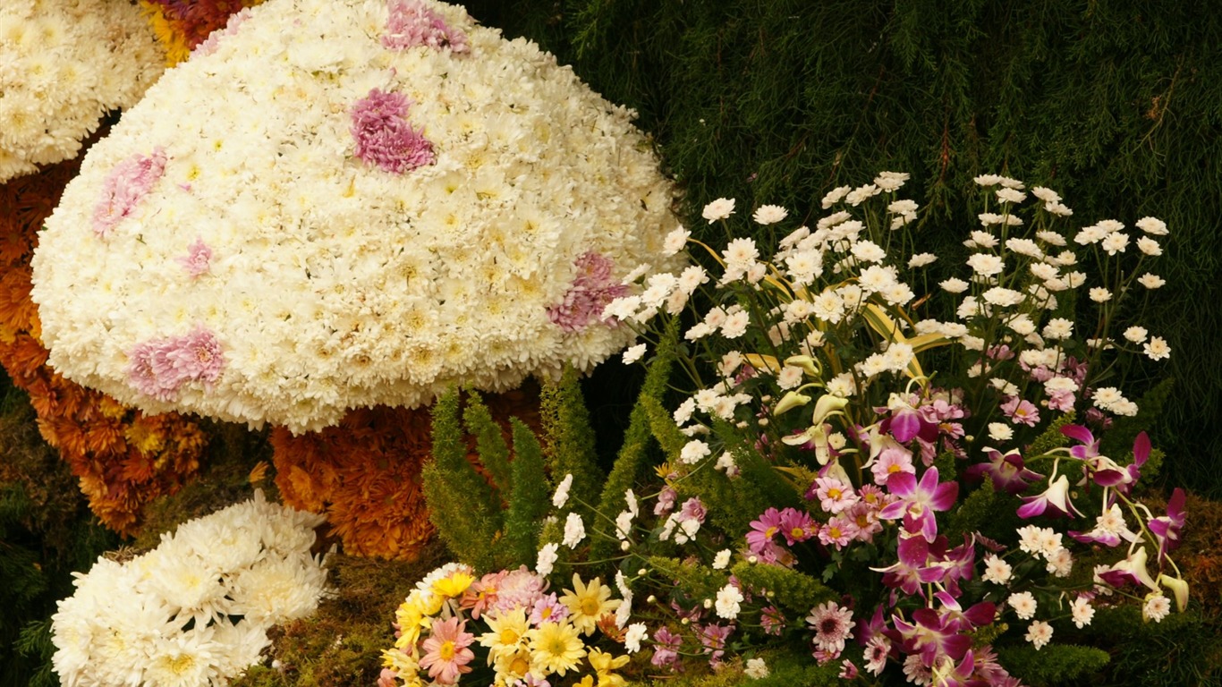 Barevné květy zdobí tapety (1) #5 - 1366x768