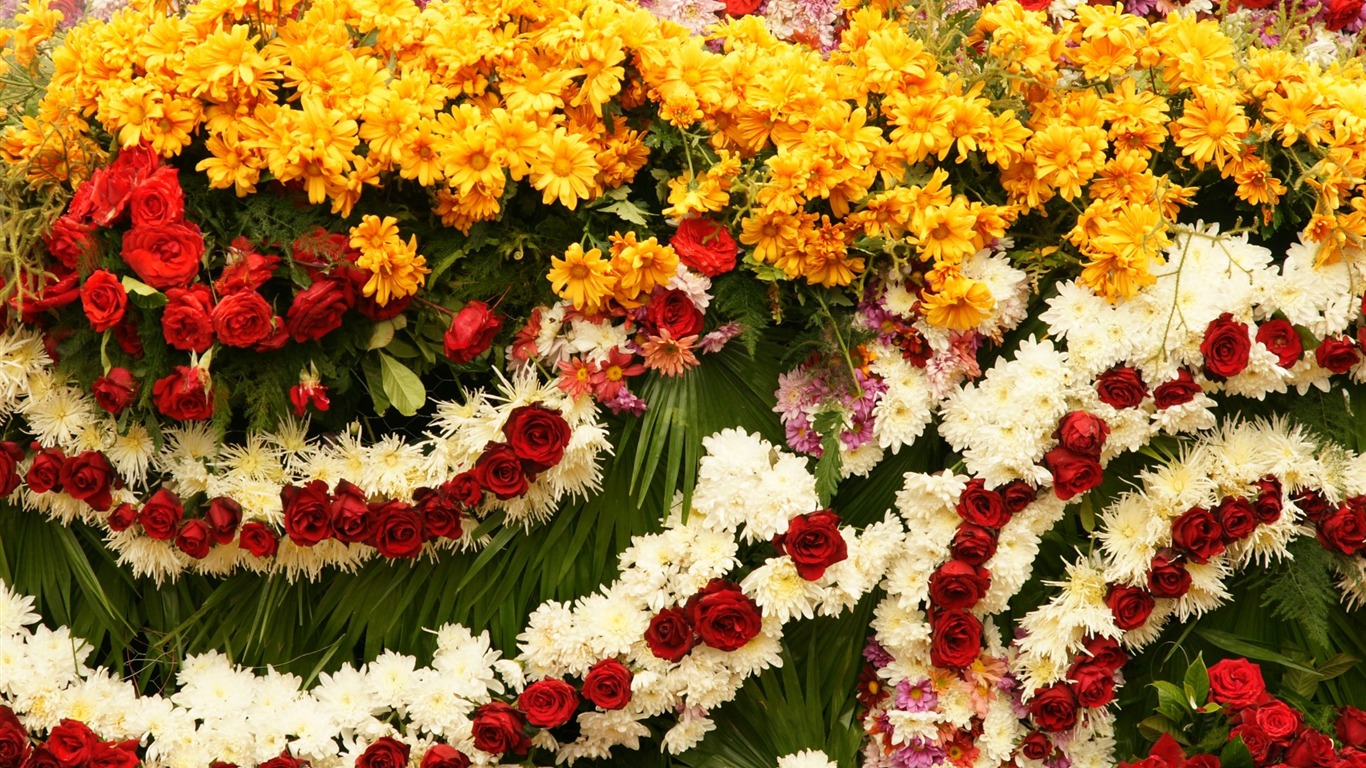 七彩花朵裝飾 壁紙(一) #8 - 1366x768