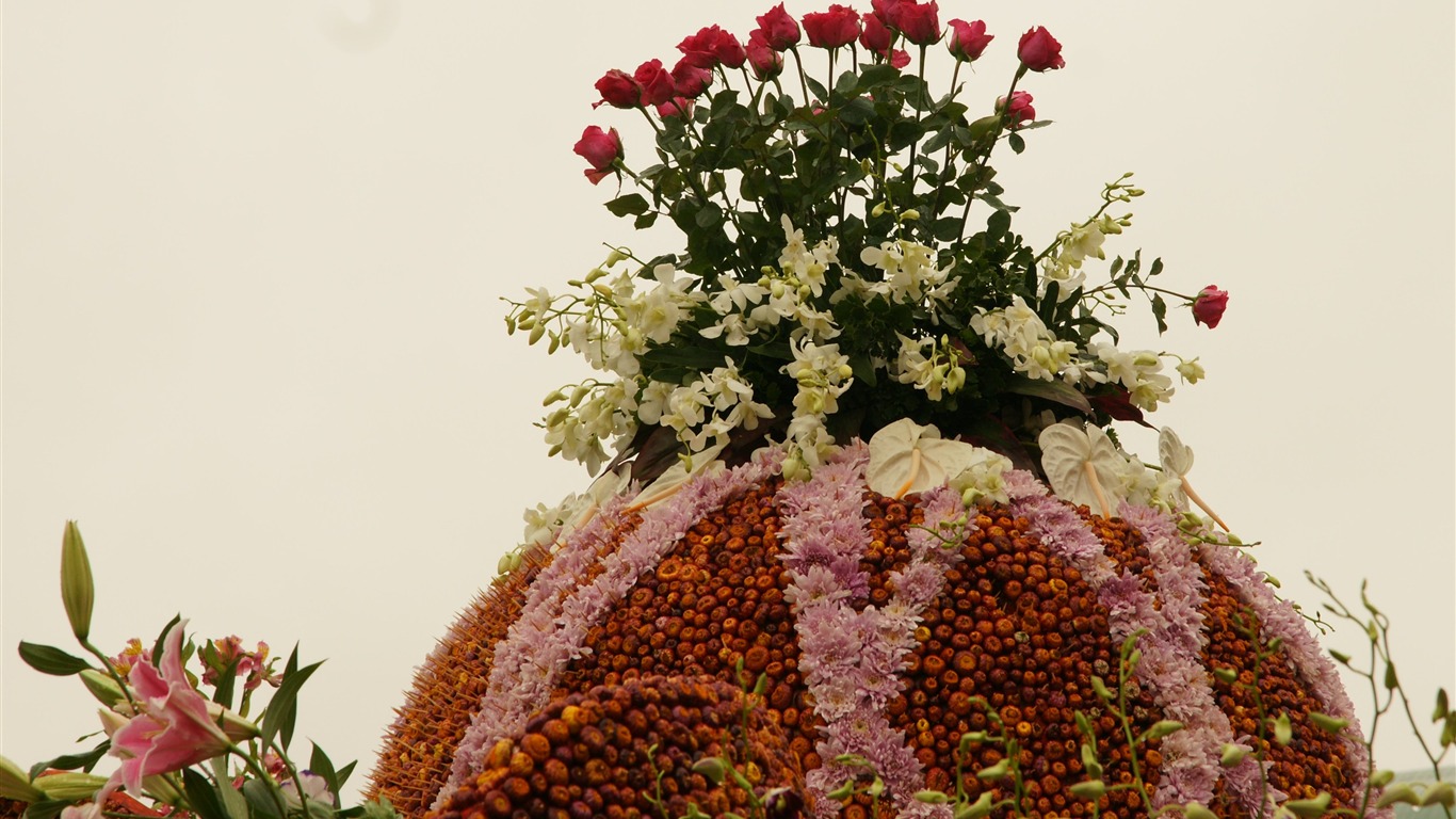 七彩花朵裝飾 壁紙(一) #12 - 1366x768