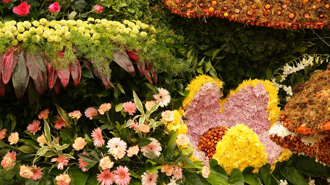 七彩花朵裝飾 壁紙(一) #13 - 1366x768