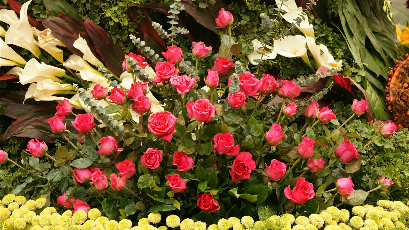 七彩花朵裝飾 壁紙(一) #14 - 1366x768
