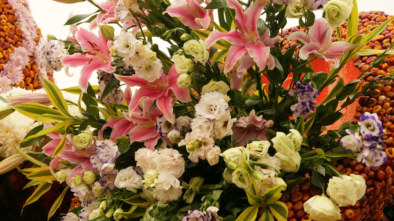 七彩花朵裝飾 壁紙(一) #19 - 1366x768