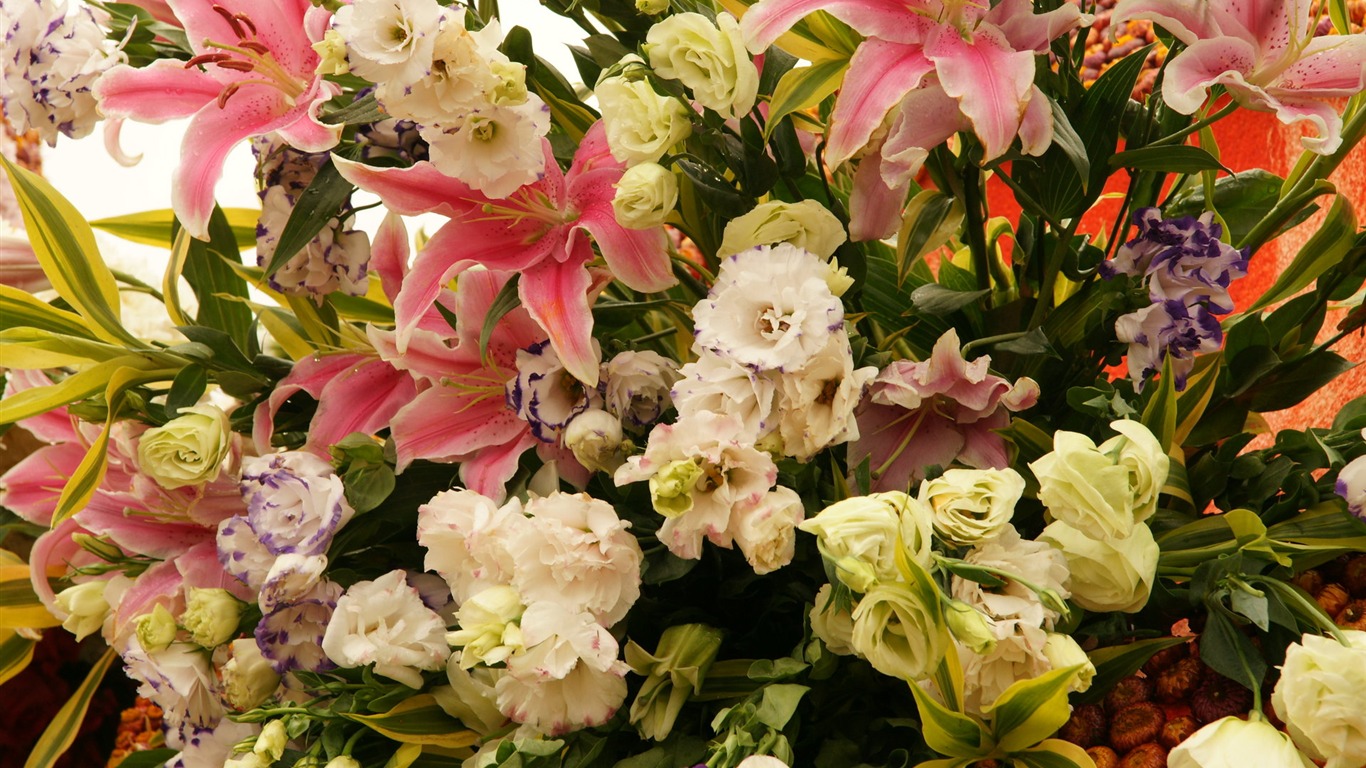 七彩花朵裝飾 壁紙(一) #20 - 1366x768