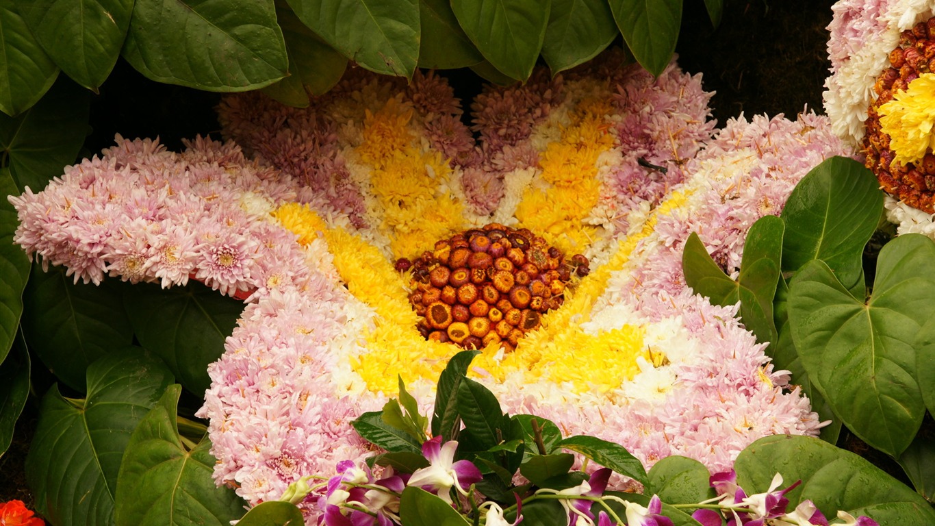 fleurs colorées décorent fond d'écran (2) #3 - 1366x768