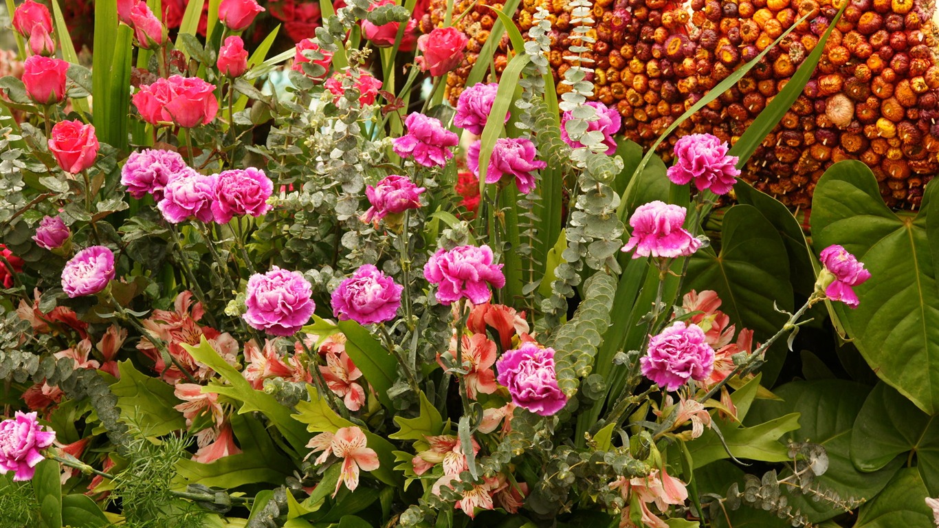 fleurs colorées décorent fond d'écran (2) #4 - 1366x768