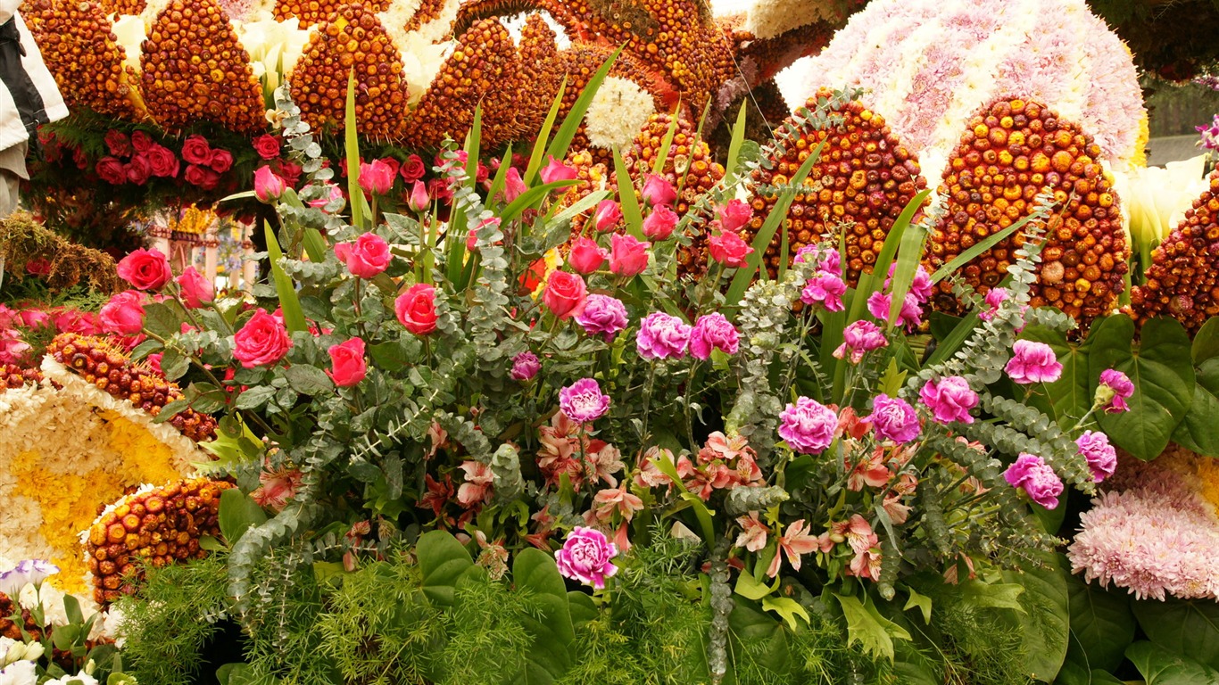 fleurs colorées décorent fond d'écran (2) #7 - 1366x768