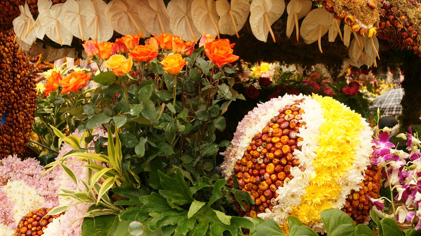 fleurs colorées décorent fond d'écran (2) #10 - 1366x768