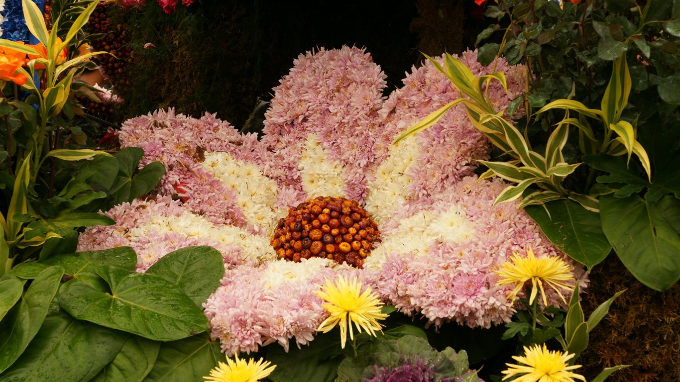 fleurs colorées décorent fond d'écran (2) #14 - 1366x768