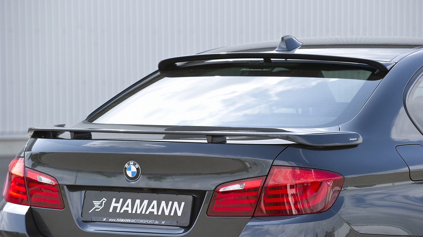 Hamann BMW 5-series F10 - 2010 HD wallpaper #17 - 1366x768