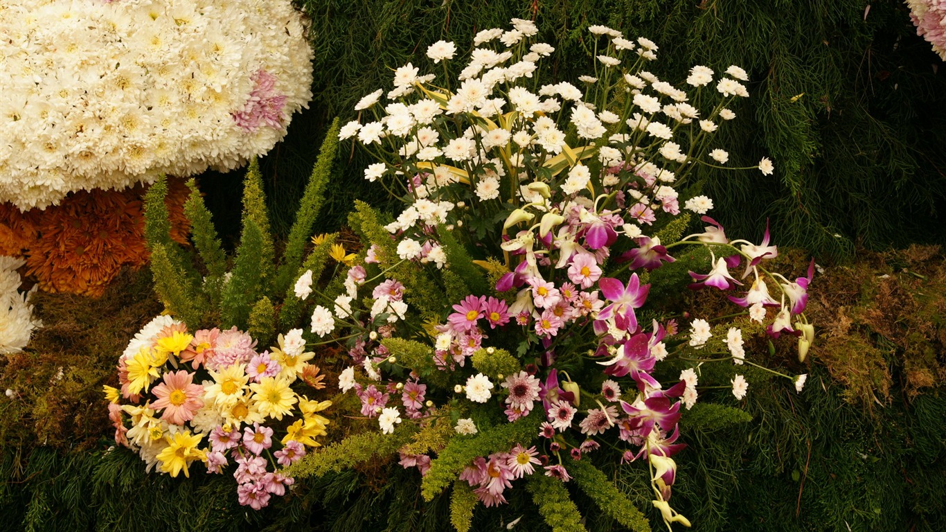 fleurs colorées décorent fond d'écran (3) #4 - 1366x768