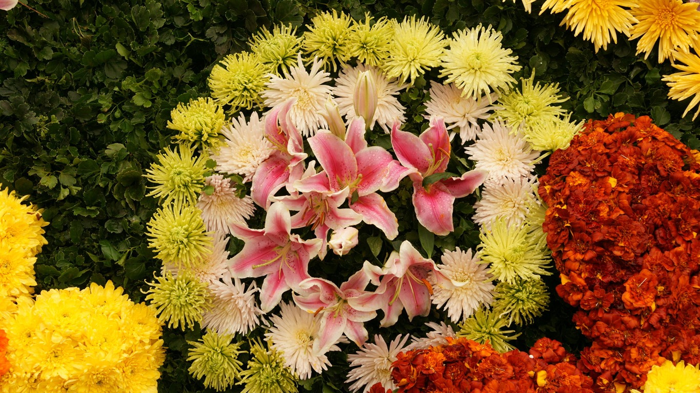 fleurs colorées décorent fond d'écran (4) #3 - 1366x768