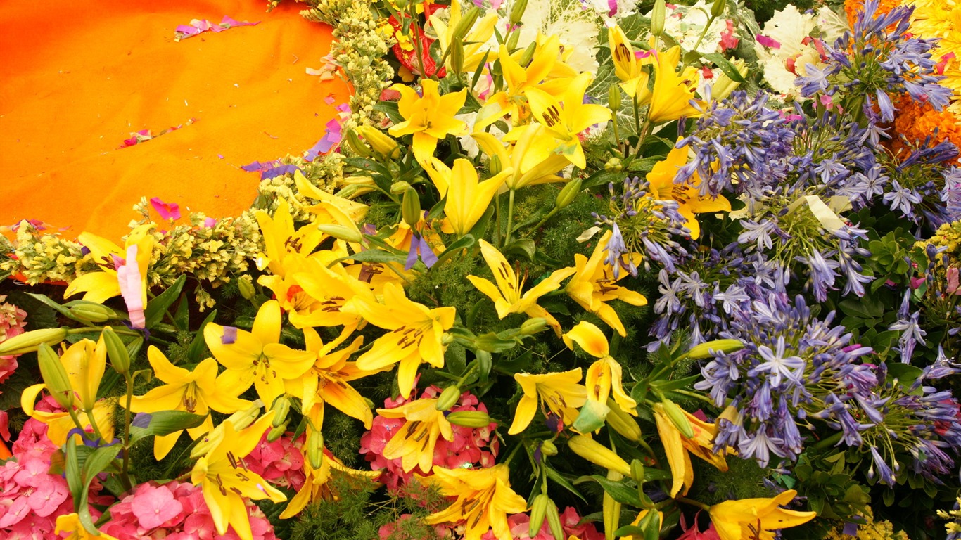 fleurs colorées décorent fond d'écran (4) #12 - 1366x768
