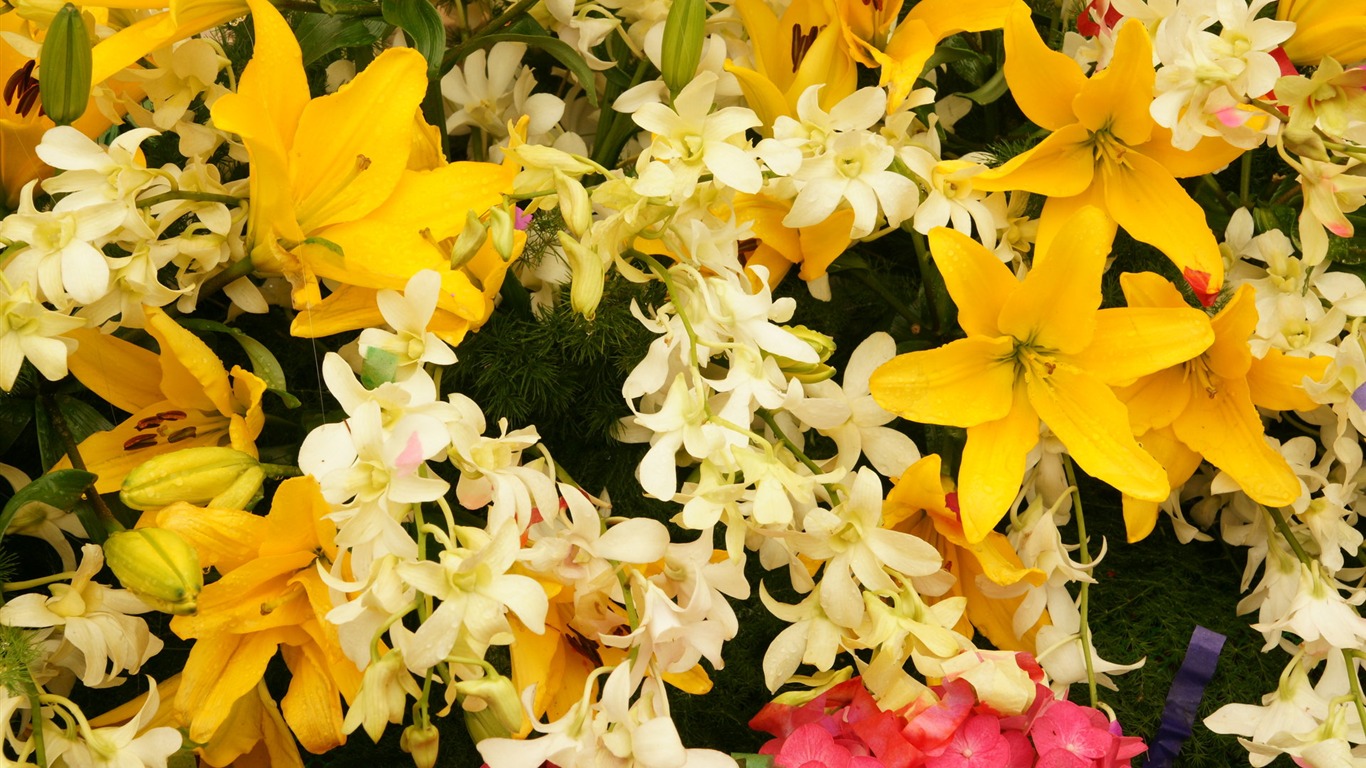 Colorful flowers decorate wallpaper (4) #16 - 1366x768