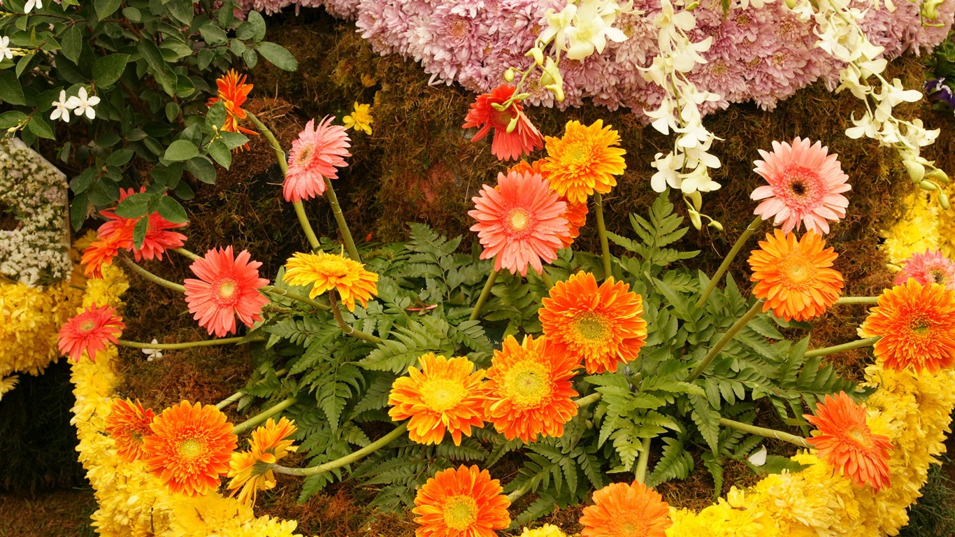 七彩花朵裝飾 壁紙(四) #19 - 1366x768