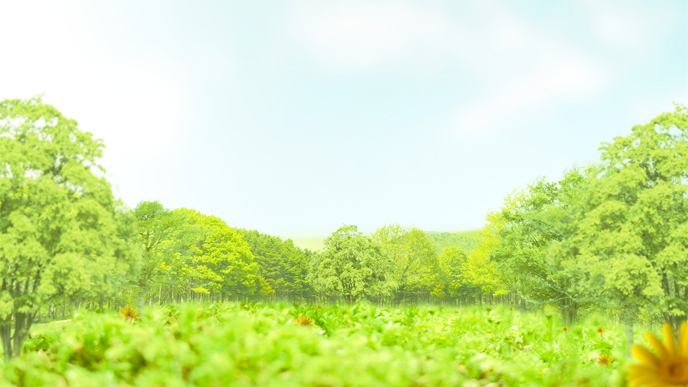 Green and Natural Wallpaper (1) #17 - 1366x768