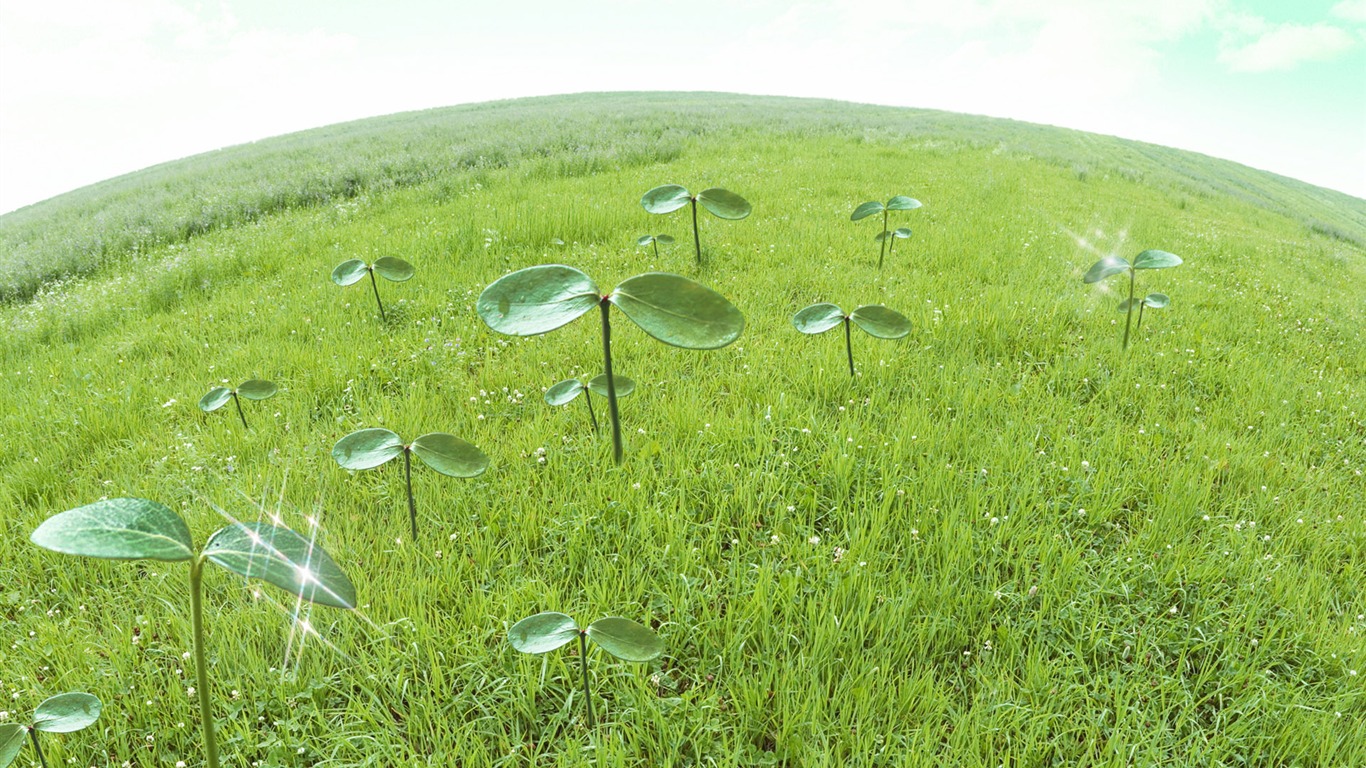 Verde y Fondos Naturales (2) #3 - 1366x768