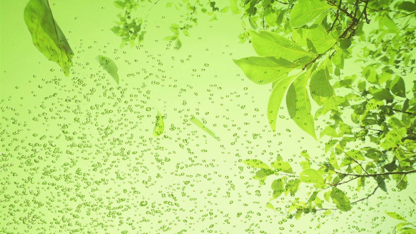綠色與自然 壁紙(三) #19 - 1366x768