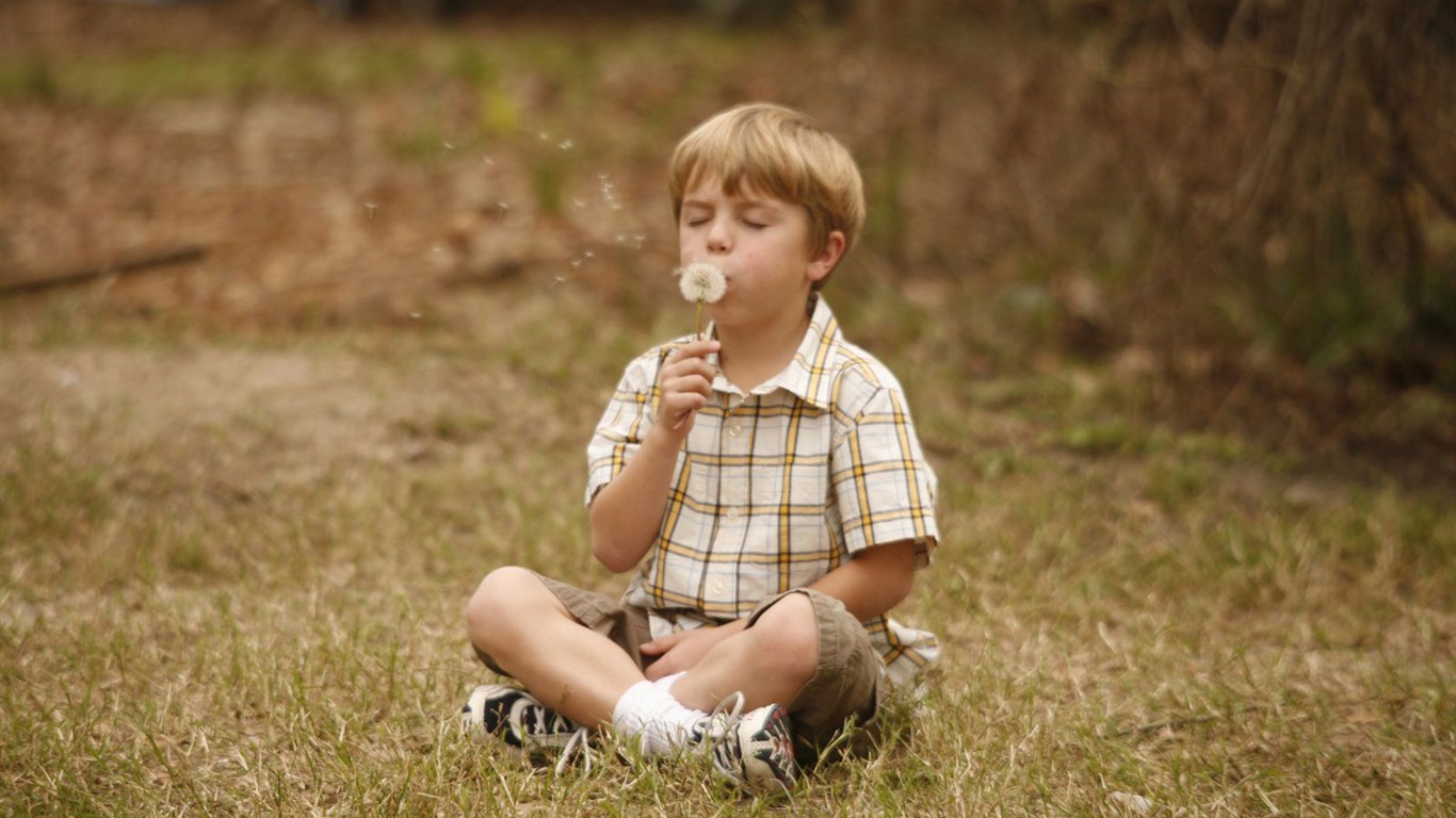 Like Dandelion Dust 蒲公英的灰尘 高清壁纸5 - 1366x768