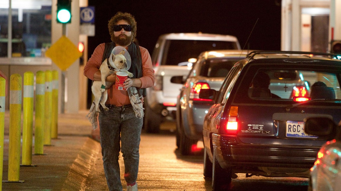 Due Date Wallpapers #13 - 1366x768