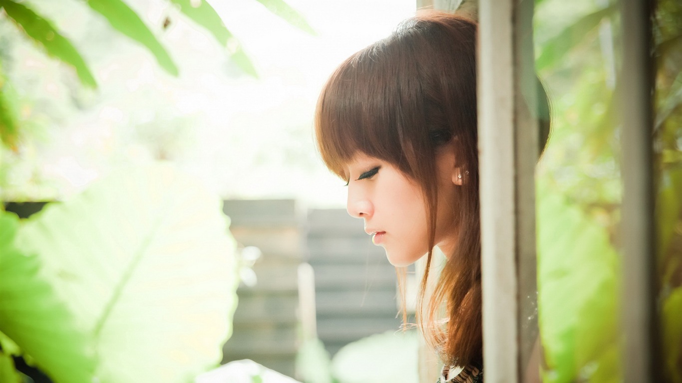 Tchaj-wan MM ovoce wallpaper album (9) #3 - 1366x768