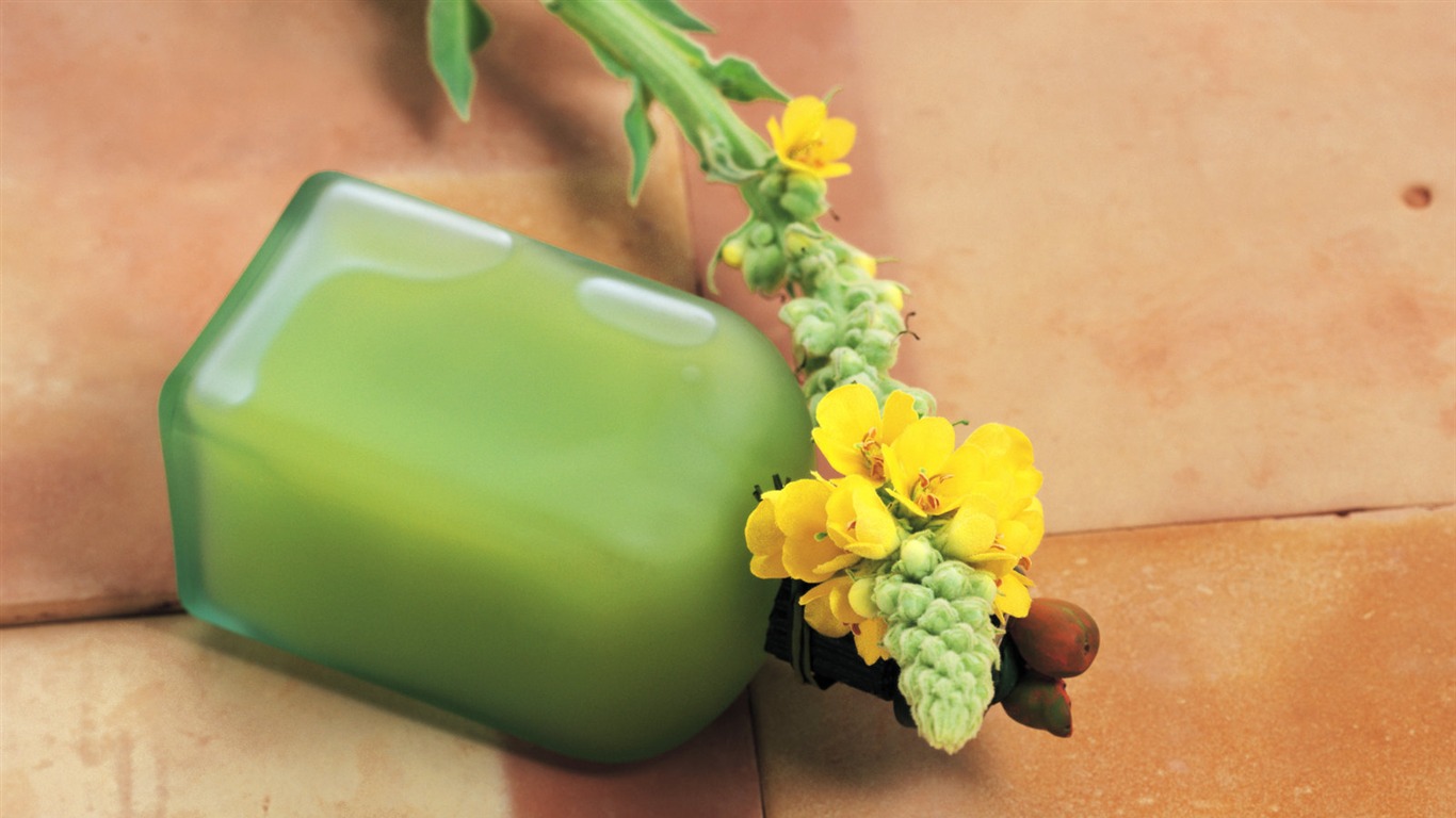 Herbal-life wallpapers #24 - 1366x768