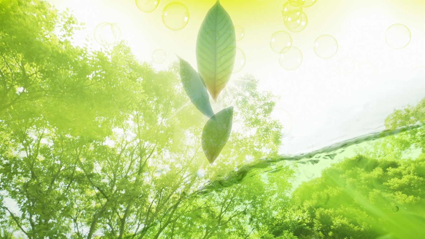 綠色與自然 壁紙(四) #2 - 1366x768