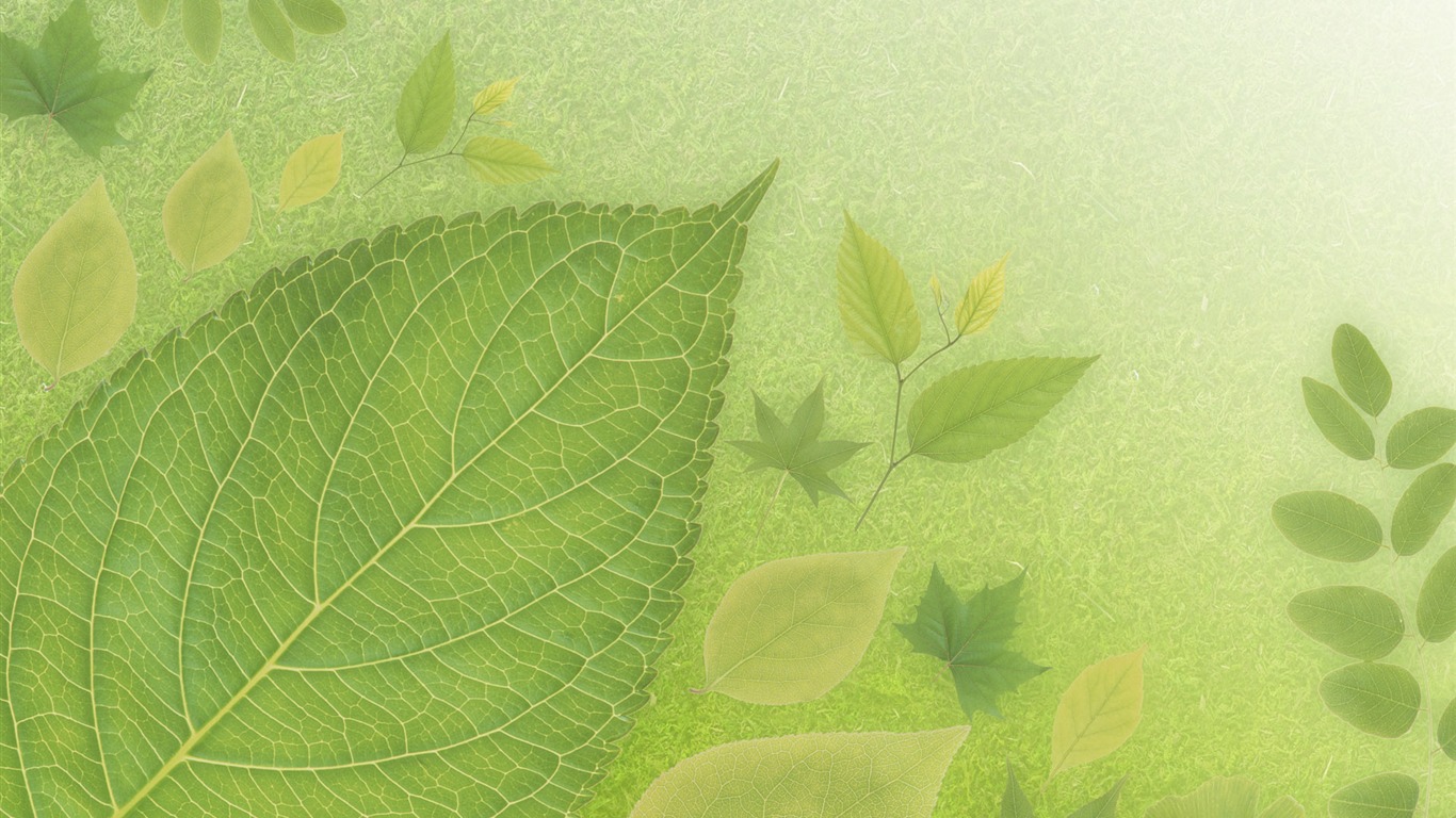 綠色與自然 壁紙(四) #6 - 1366x768