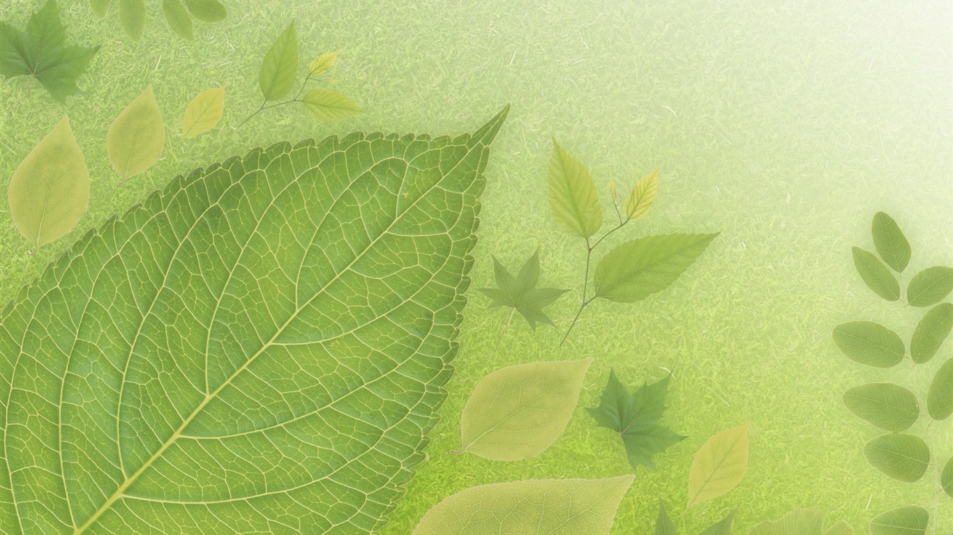 Verde y Fondos Naturales (4) #6 - 1366x768