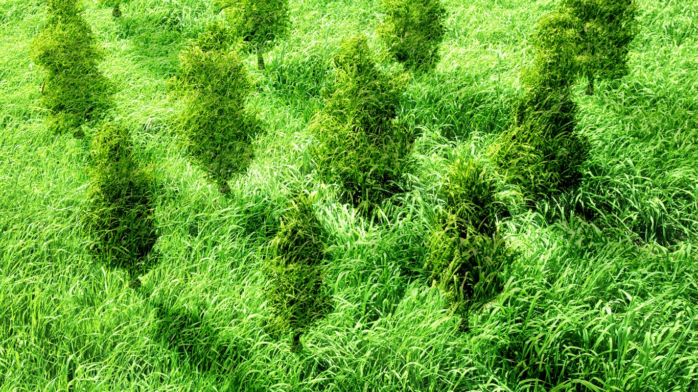 Green and Natural Wallpaper (4) #13 - 1366x768