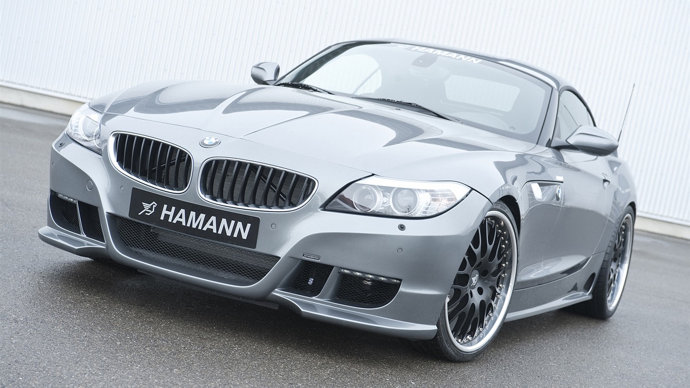 Hamann BMW Z4 E89 - 2010 宝马1 - 1366x768