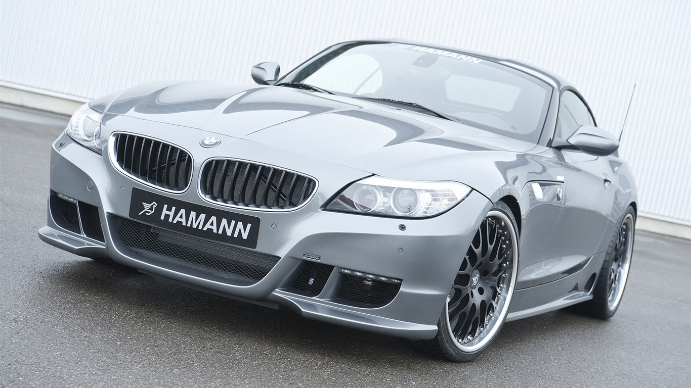 Hamann BMW Z4 E89 - 2010 HD tapetu #1 - 1366x768