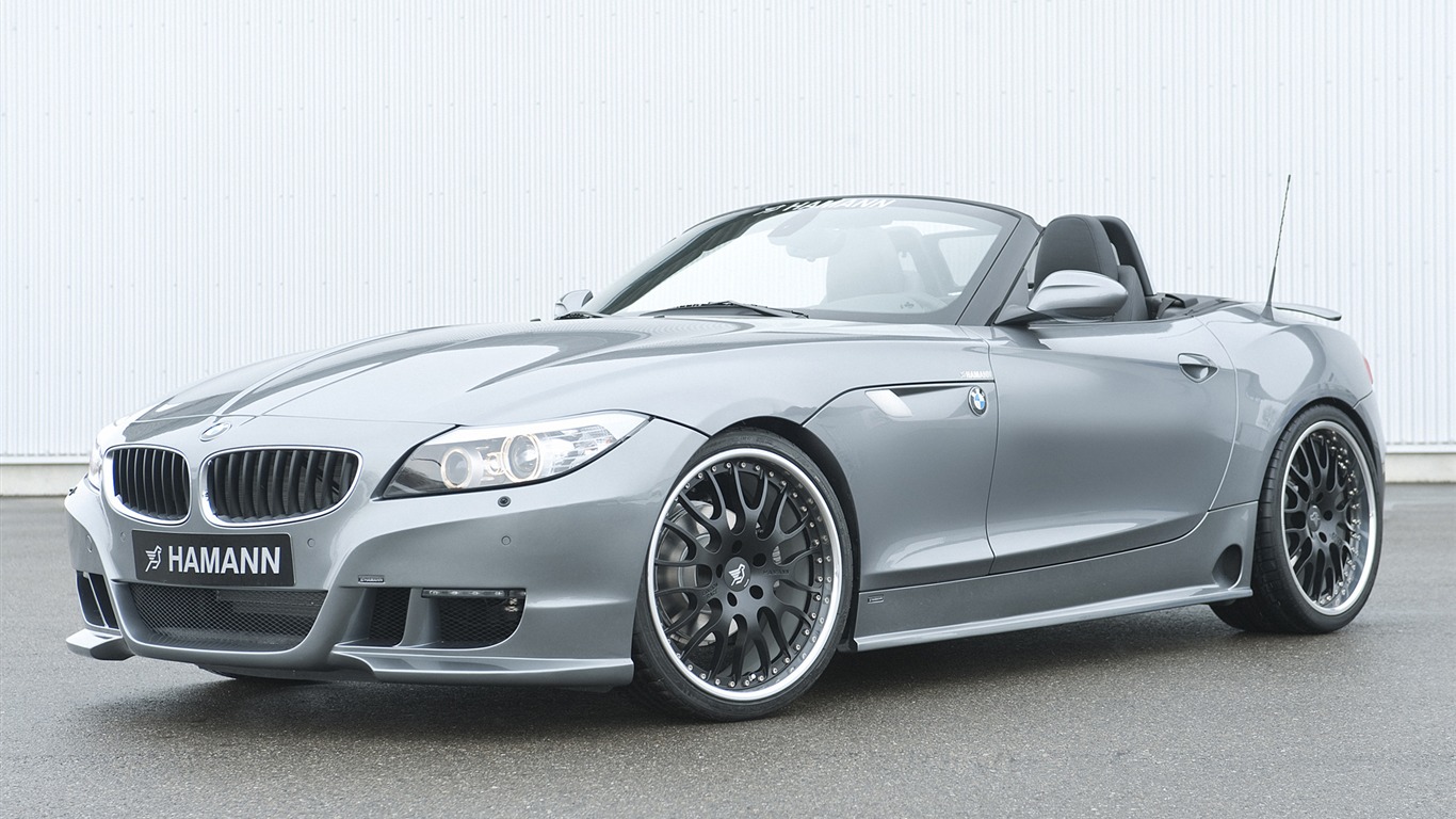 Hamann BMW Z4 E89 - 2010 HD wallpaper #2 - 1366x768
