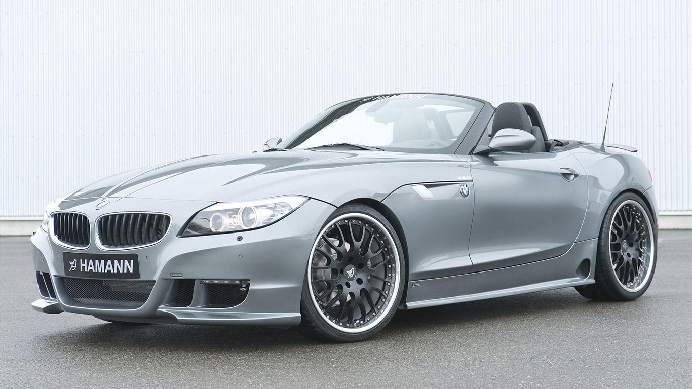 Hamann BMW Z4 E89 - 2010 HD Wallpaper #2 - 1366x768