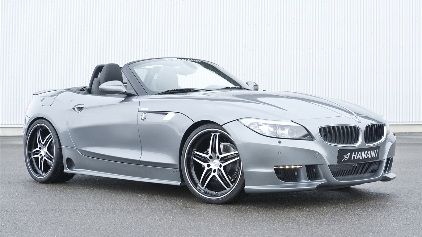 Hamann BMW Z4 E89 - 2010 HD tapetu #4 - 1366x768