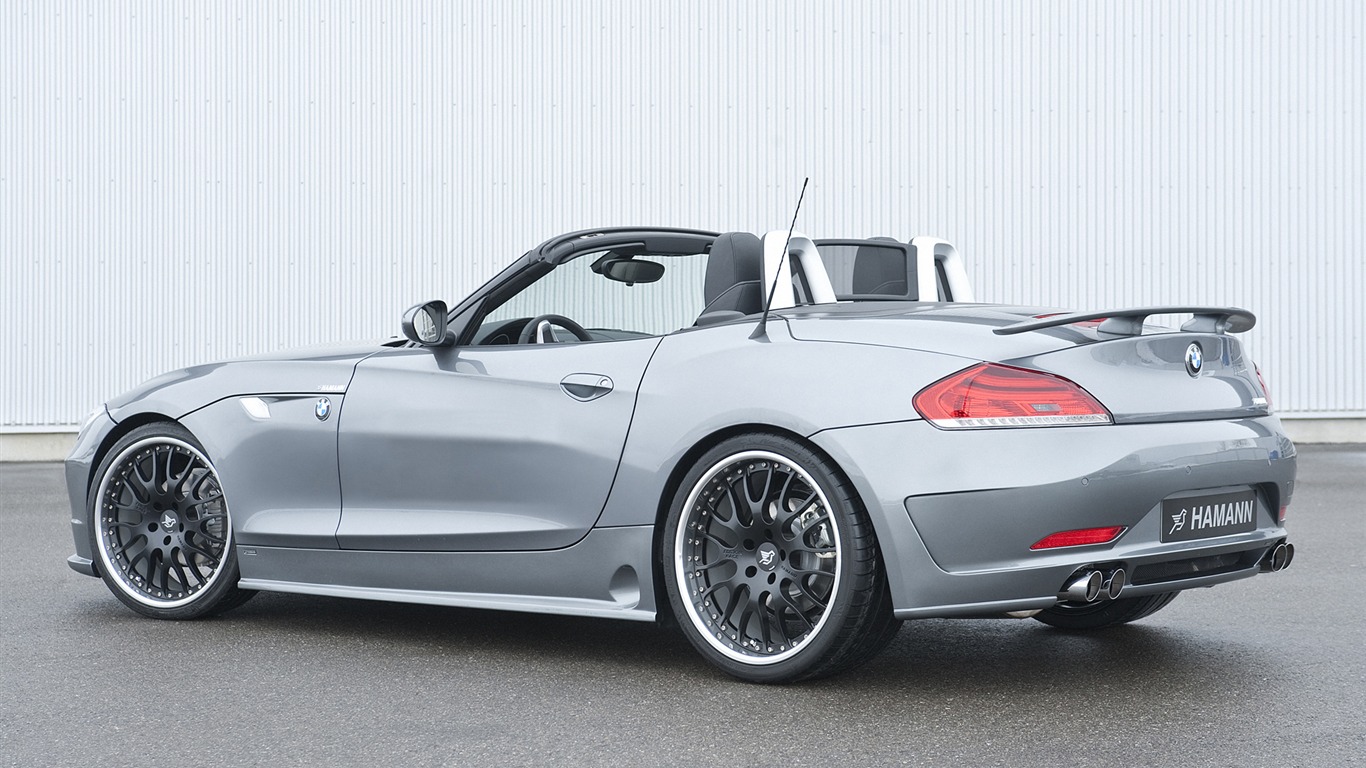Hamann BMW Z4 E89 - 2010 HD tapetu #6 - 1366x768
