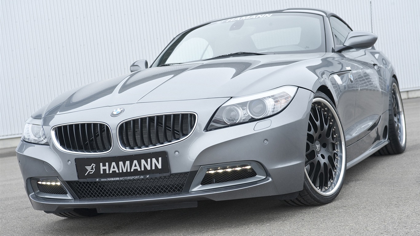 Hamann BMW Z4 E89 - 2010 宝马8 - 1366x768