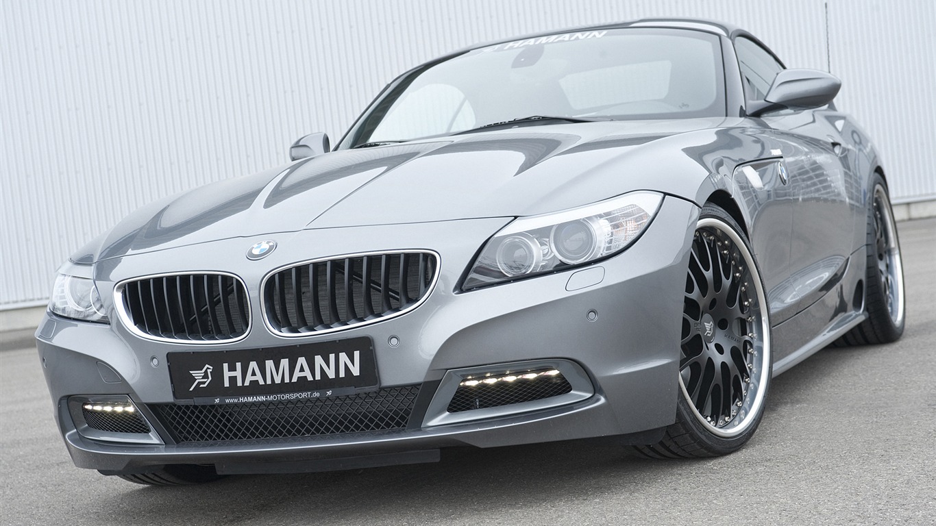Hamann BMW Z4 E89 - 2010 寶馬 #8 - 1366x768