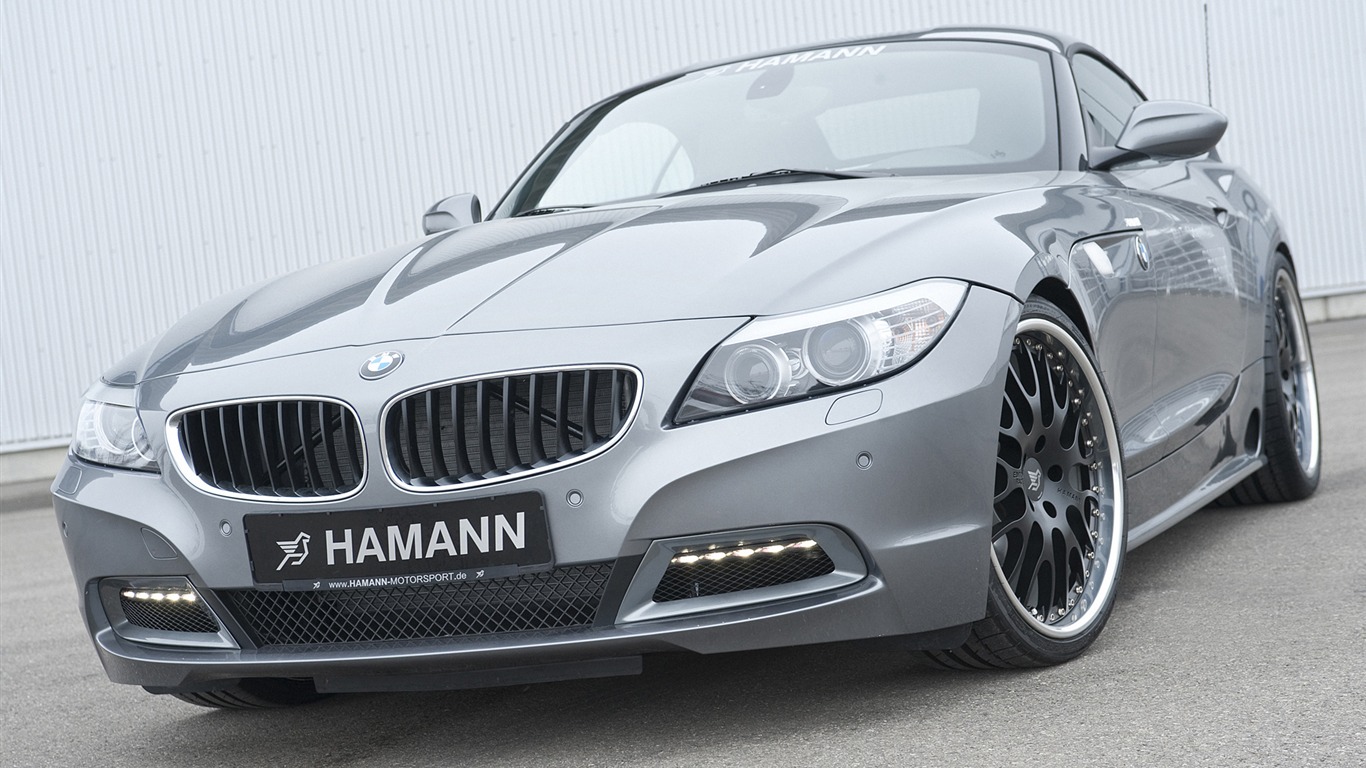 Hamann BMW Z4 E89 - 2010 HD wallpaper #8 - 1366x768